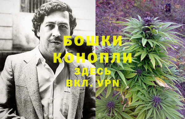 ПСИЛОЦИБИНОВЫЕ ГРИБЫ Волосово
