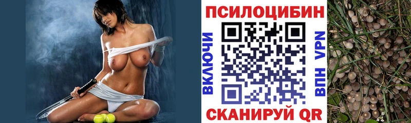KRAKEN вход  сколько стоит  Новоуральск  Галлюциногенные грибы MAGIC MUSHROOMS 